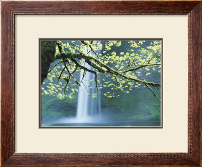 Tranquility by Jeremy Walker Pricing Limited Edition Print image
