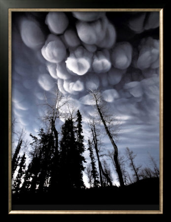 Clouds Of Ash by John Pezzenti Jr Pricing Limited Edition Print image