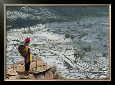 Rice Fields With Water, Yi Woman by Bruno Morandi Pricing Limited Edition Print image