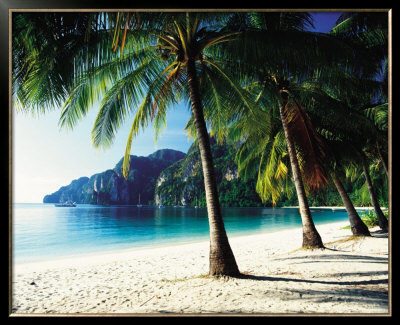 Tonsai Beach, Phi Phi Islands, Thailand by Josef Beck Pricing Limited Edition Print image