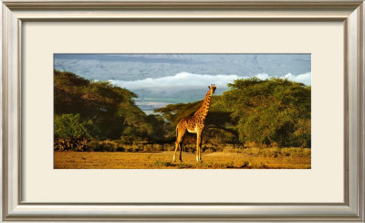 Kimana Area - Kenya by Daryl Balfour Pricing Limited Edition Print image