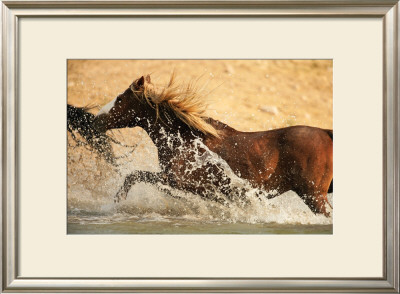 Running Through Water by Jerry Sintz Pricing Limited Edition Print image