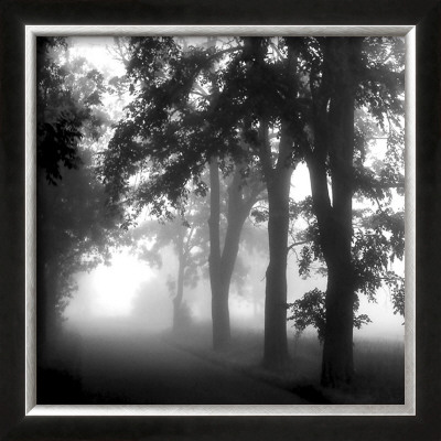Misty Pathway by Steven Mitchell Pricing Limited Edition Print image