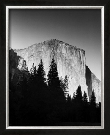 El Capitan In Trees by Bradford Smith Pricing Limited Edition Print image