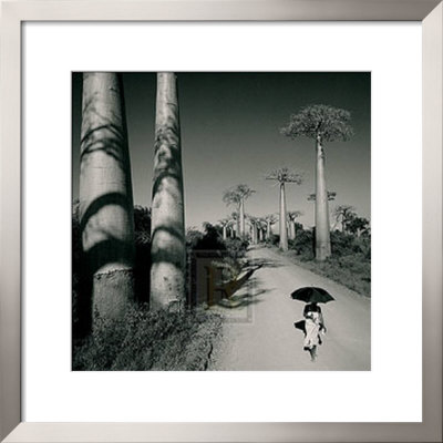 Allee Des Baobabs Ii by Chris Simpson Pricing Limited Edition Print image