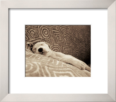 Dog Tired by Jim Dratfield Pricing Limited Edition Print image