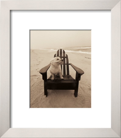 Life's A Beach by Jim Dratfield Pricing Limited Edition Print image