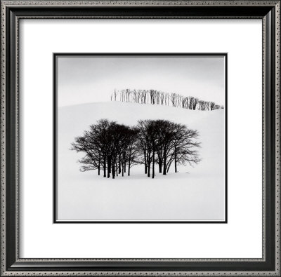 Hilltop Trees, Study 3, Japan by Michael Kenna Pricing Limited Edition Print image