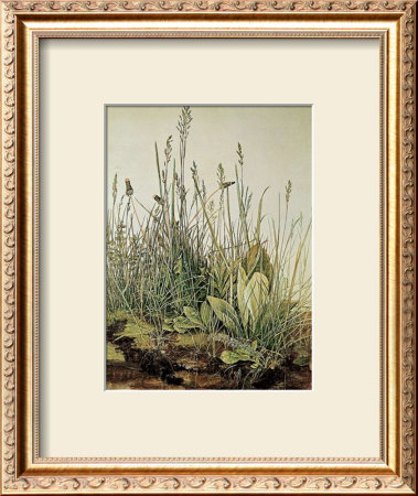 Tall Grass by Albrecht Dürer Pricing Limited Edition Print image