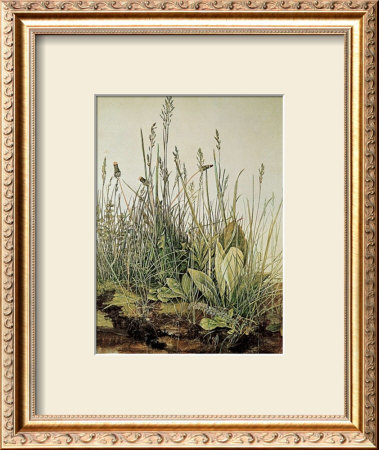 Tall Grass by Albrecht Durer Pricing Limited Edition Print image