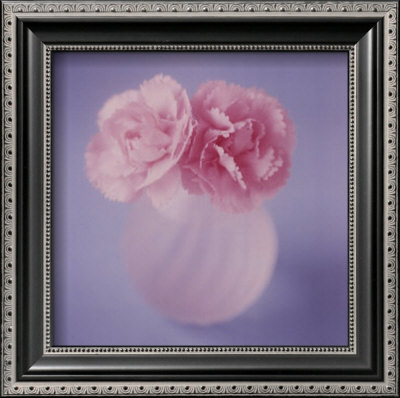 Carnations by Masao Ota Pricing Limited Edition Print image