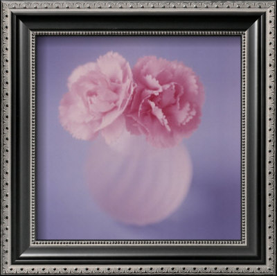 Carnations by Masao Ota Pricing Limited Edition Print image