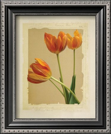 Tangerine Tulips Ii by Linda Maron Pricing Limited Edition Print image