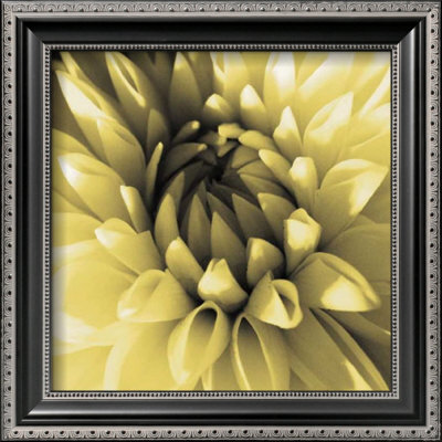 Butter Dahlia by Shawn Kapitan Pricing Limited Edition Print image