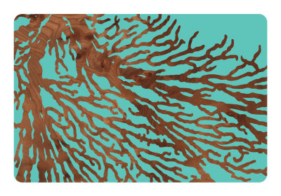 Sea Fan by Jefdesigns Jefdesigns Pricing Limited Edition Print image