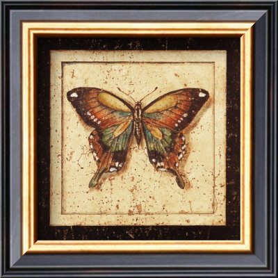 Ancient Butterfly Iii by Marty Joseph Pricing Limited Edition Print image