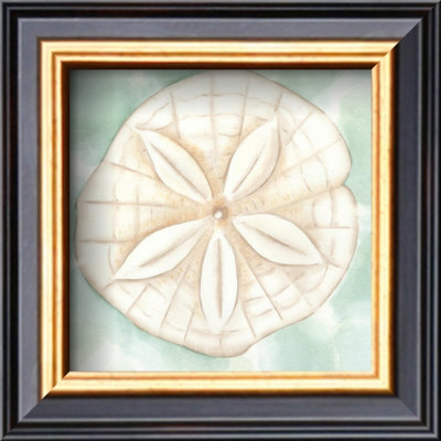 Ocean Sanddollar by Chariklia Zarris Pricing Limited Edition Print image