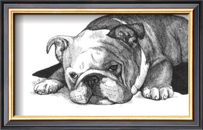 Gracie The Bulldog by Beth Thomas Pricing Limited Edition Print image