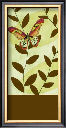 Butterfly Whimsey I by Jennifer Goldberger Pricing Limited Edition Print image