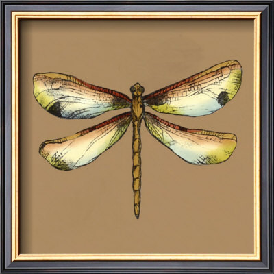 Solitary Dragonfly I by Jennifer Goldberger Pricing Limited Edition Print image