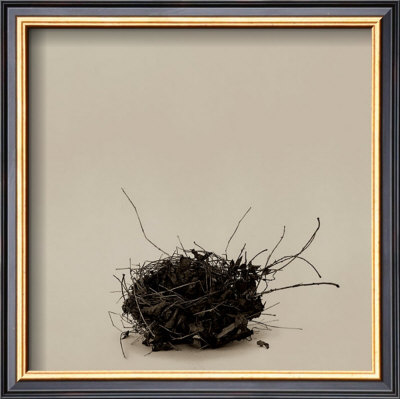 Leeba's Nest by Ruth Silverman Pricing Limited Edition Print image