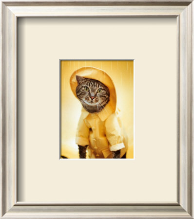 Rain Cat by Rachael Hale Pricing Limited Edition Print image
