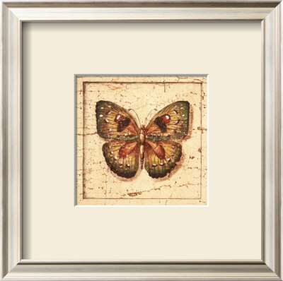 Ancient Butterfly I by Marty Joseph Pricing Limited Edition Print image