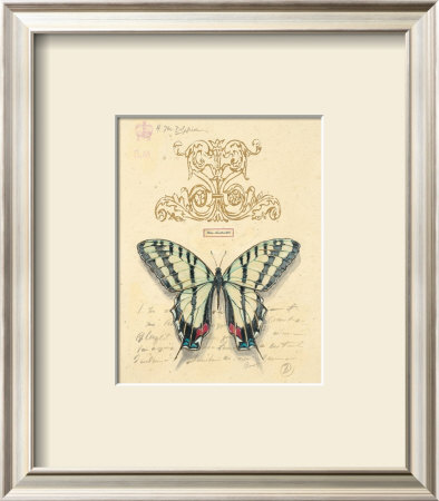 Filigree Papillon by Chad Barrett Pricing Limited Edition Print image