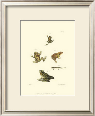 Antique Frogs I by J.W. Hill Pricing Limited Edition Print image