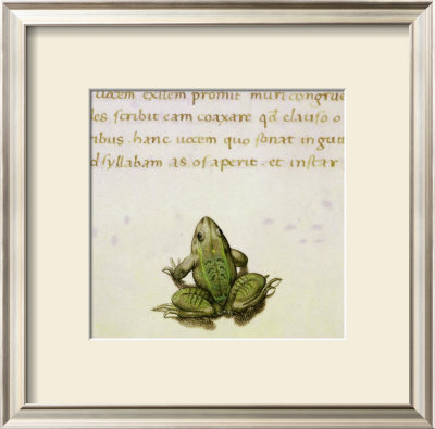 Frog by Pietro Candido Decembrio Pricing Limited Edition Print image