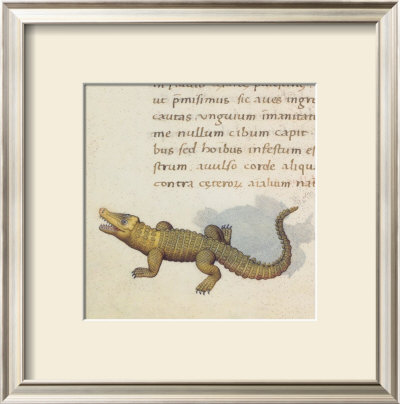 Crocodile With Text by Pietro Candido Decembrio Pricing Limited Edition Print image