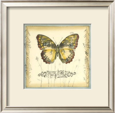 Butterfly And Wildflowers Ii by Jennifer Goldberger Pricing Limited Edition Print image