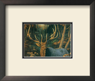 Autumn Majesty by Crista Forest Pricing Limited Edition Print image