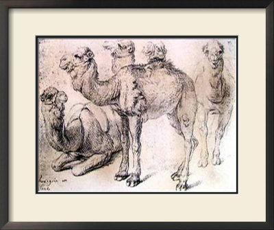 Dromedary Study by Jean Antoine Watteau Pricing Limited Edition Print image