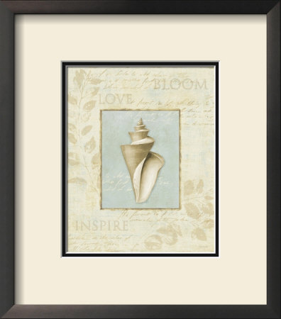 Soothing Words Shells Iii by Lisa Audit Pricing Limited Edition Print image