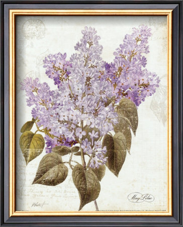 May Lilac by Katie Pertiet Pricing Limited Edition Print image