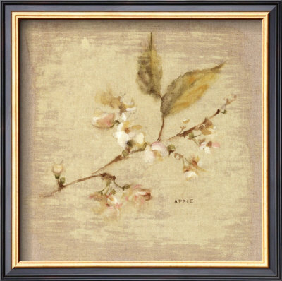 Apple Blossom Square by Cheri Blum Pricing Limited Edition Print image