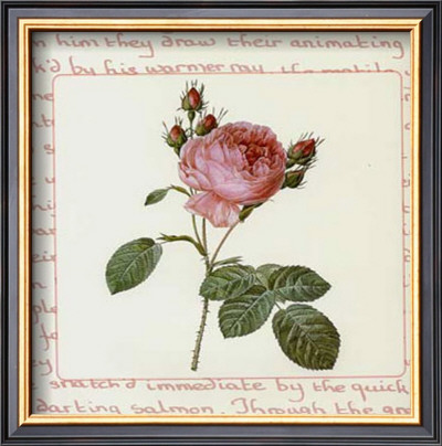 Roses Ii by Pierre-Joseph Redouté Pricing Limited Edition Print image