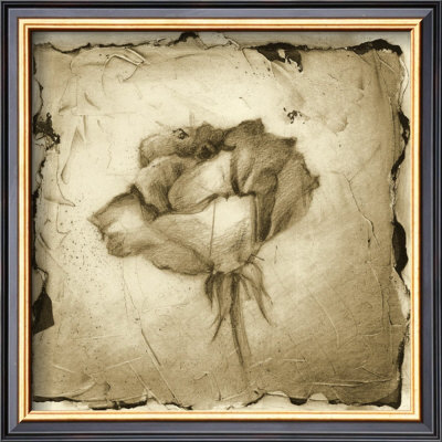 Floral Impression Vi by Ethan Harper Pricing Limited Edition Print image