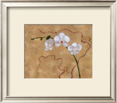 Morning Orchids by Ven Verltloh Pricing Limited Edition Print image