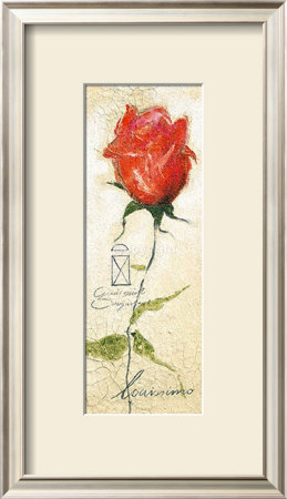 Rose Gabriella by Louissimo Pricing Limited Edition Print image
