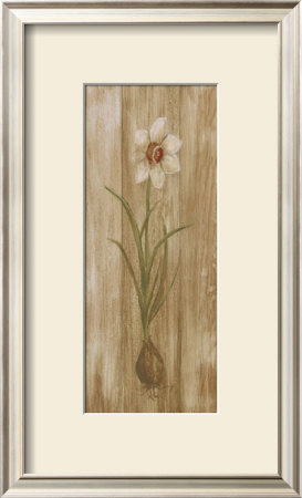 Daffodil With Bulb by Mar Alonso Pricing Limited Edition Print image