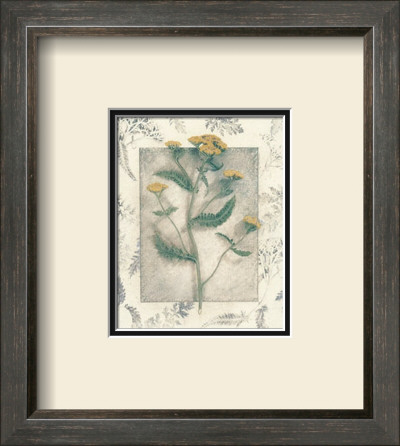 Yarrow by Julie Nightingale Pricing Limited Edition Print image