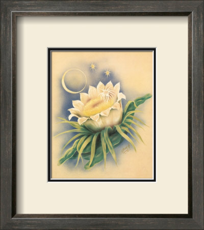 Night Blooming Cereus by Ted Mundorff Pricing Limited Edition Print image