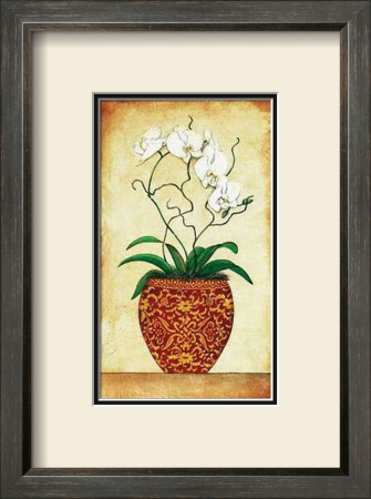 Multi Stem Orchid by Merri Pattinian Pricing Limited Edition Print image