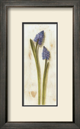 Purple Flowers by David Col Pricing Limited Edition Print image