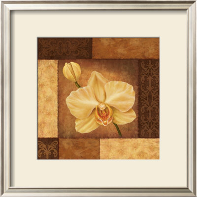 Golden Orchid by Debbie Cole Pricing Limited Edition Print image