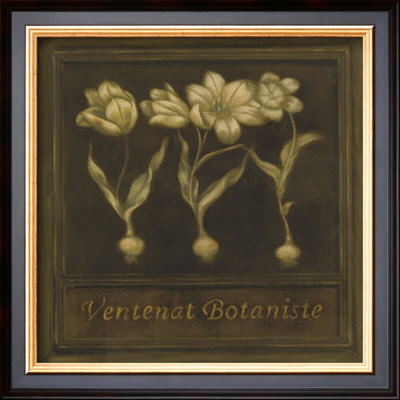 Ventenat Botaniste by Stela Klein Pricing Limited Edition Print image