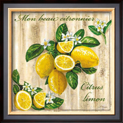 Mon Beau Citronnier by Noel Romero Pricing Limited Edition Print image