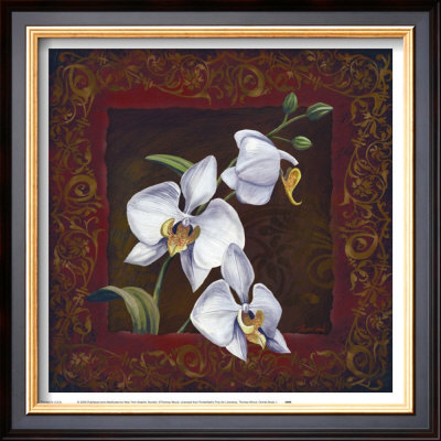 Orchid Study I by Thomas Wood Pricing Limited Edition Print image